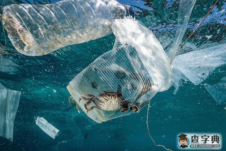 菲律宾塑料垃圾污染严重 生物多样性中心变致命陷阱