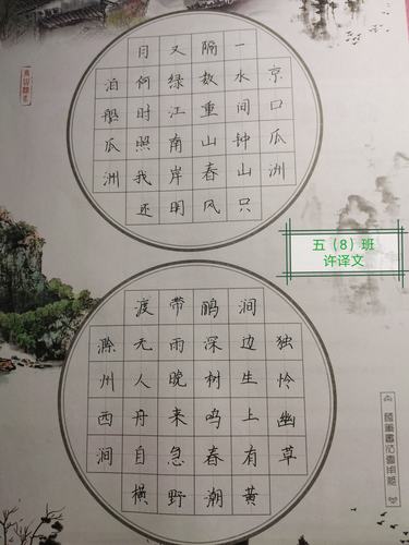 绽放——泗洪县实验小学五年级书法作品展示