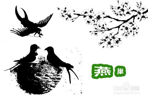 燕巢简笔画设计