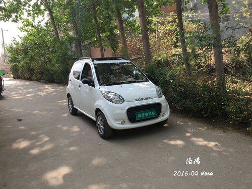 啊牡丹 百花丛中最鲜艳 啊牡丹 众香国里最壮观