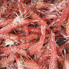 2斤包邮深海产剑虾海虾船上活冻红虾新鲜海产对虾甜虾