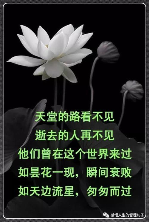 缅怀逝者,勇毅前行