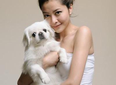 盘点娱乐圈爱狗如命的十大女星:你喜欢哪一个