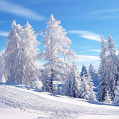 淑女雪景qq风景头像