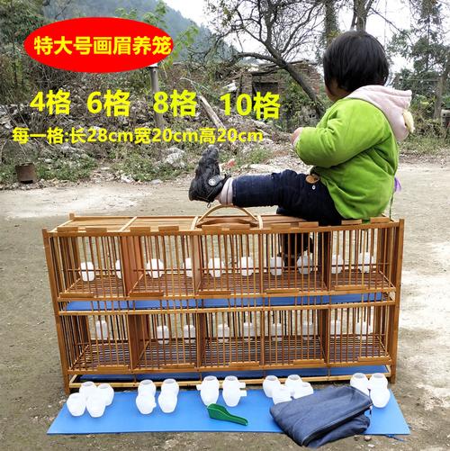 共1267 件画眉排笼竹鸟笼相关商品