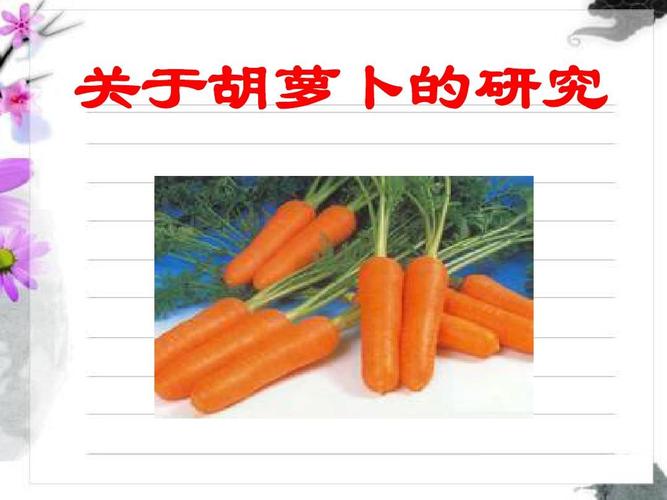 关于胡萝卜的研究ppt