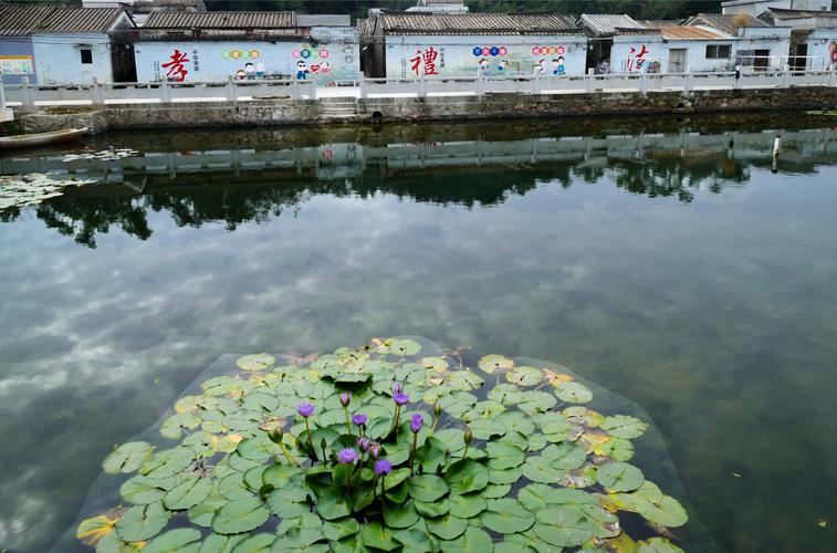 其它 醉美罗坑下沙村 写美篇       江门市新会区罗坑镇下沙村,有11条