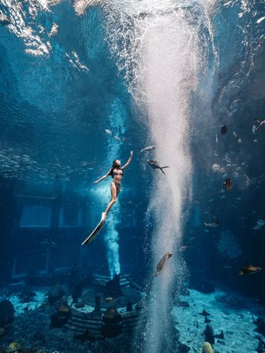 自由潜水|三亚亚特兰蒂斯水下拍摄91_潜水_亚特兰蒂斯怎么样_三亚