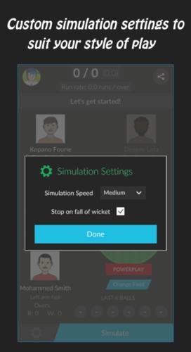 wicketcricketmanager电脑版