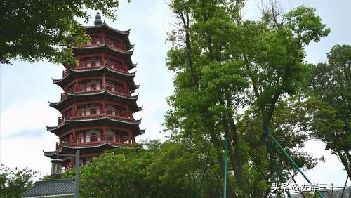 麻涌华阳湖湿地公园,美景美食皆有,是东莞最全方位的湿地公园