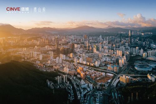 深圳银湖缙山府 实拍-天赋地脉,溯源银湖,镁光呈现!