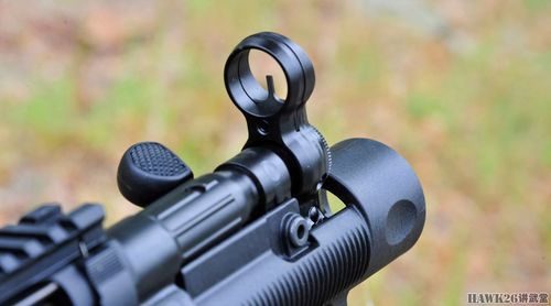 准星与mp5冲锋枪完全相同,都是带封闭护圈的固定准星.