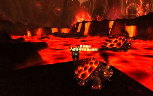 0猎人珍稀宠物图文百科大全