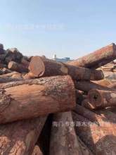 进口木材厂家澳洲紫檀 金星紫檀澳洲黄金紫檀黑金紫檀