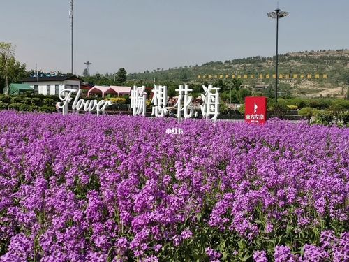 济宁嘉祥纸坊镇东方左岸假日小镇_景点_东方左岸·假日小镇攻略_出行