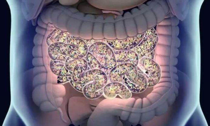 排便出现3种征兆最好去检查一下肠道切莫拖成癌