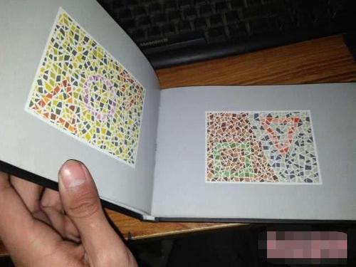 车管所的色盲检测图看不出里面的熊猫别参加考试了