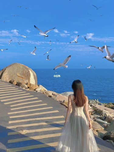 惠州海龟湾_海龟湾_海边_双月湾_太阳镜_杜鹃_防晒_裙子_景点_风景