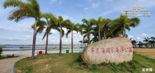 广西碧桂园红树湾地址钦州牛的海景房