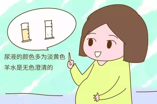 孕期分不清破水还是漏尿?这些知识一定要记牢