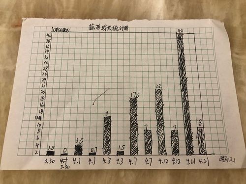 蒜苗成长统计图