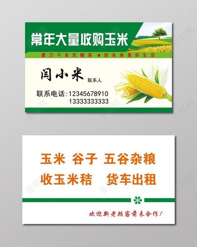 玉米名片白绿色简约名片设计模板