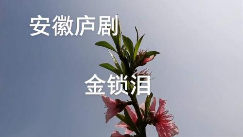 安徽庐剧金锁泪