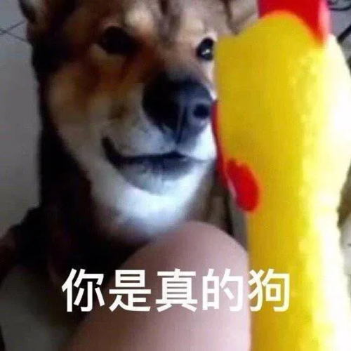 表情包:你是真的狗
