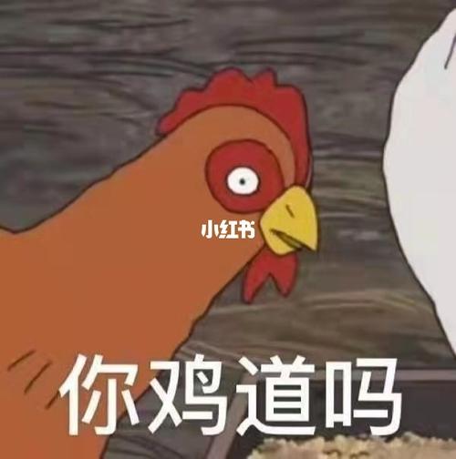 你知道吗系列表情包太搞笑了哈哈哈