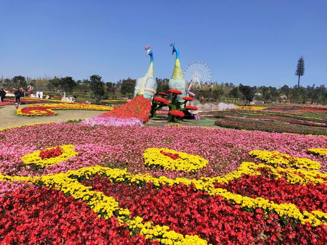 五龙山百花谷!2019.10.28