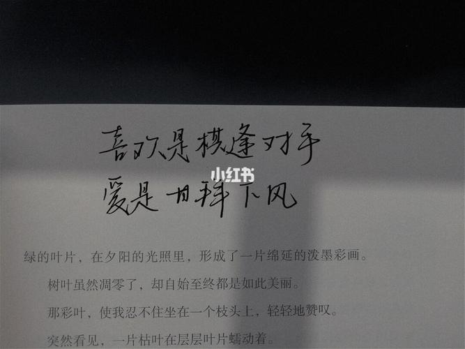 "你像天外来物一样求之不得."_夕阳_练字_素材_文字