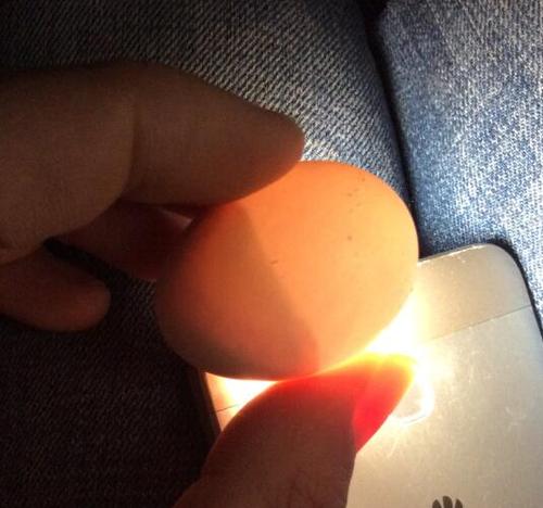 下完蛋后拿出来大概一个礼拜,之后倒窝孵化,有一个正常,一个半空.