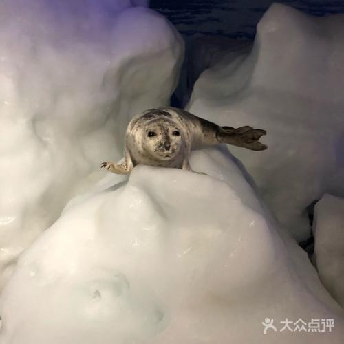 鄂霍次克流冰馆