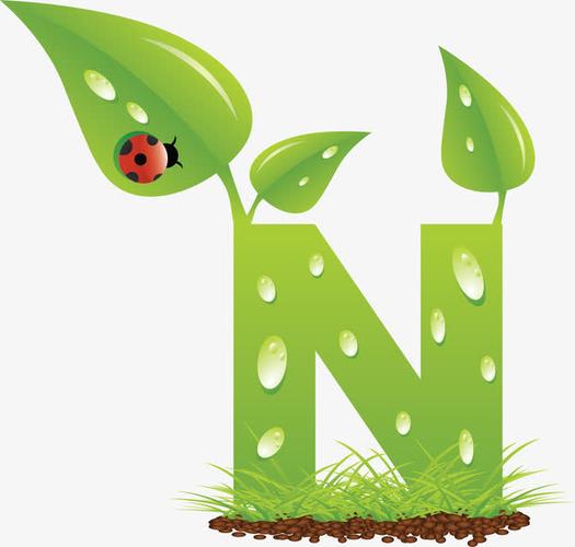 关键词 : 小草,绿色,水珠,土壤,树苗,n,字母n,创意n