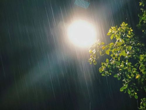 从天幕落下夜晚的街道空无一人只有昏暗的路灯与它作伴在蒙蒙细雨中