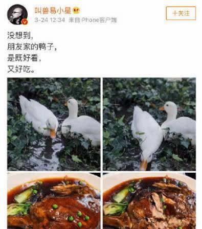王思聪有多喜欢小动物?继领养国宝后,他的"动物园"又添丁!