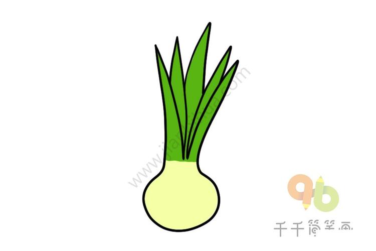 发芽的大蒜简笔画