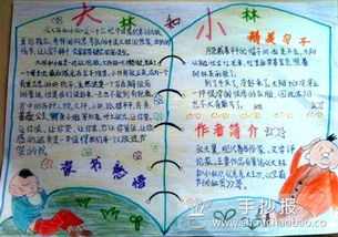 推荐3c大林和小林3e手抄报 推荐好书手抄报