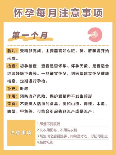 孕期知识 | 怀孕每月所需营养及注意事项!