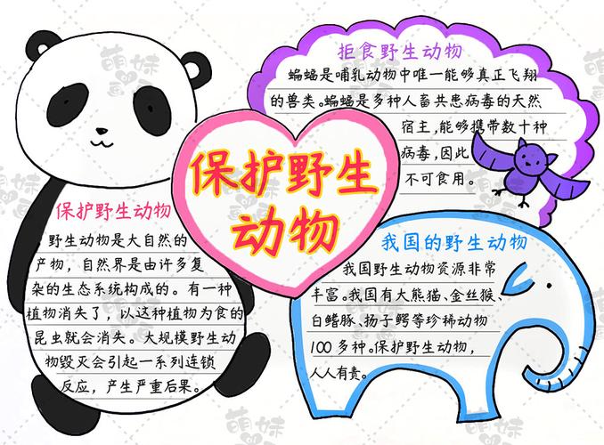一起学画保护野生动物主题手抄报模板,拒食野味,从我做起!