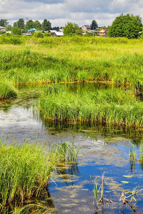 村庄的景色. 夏季乡村景观与房屋