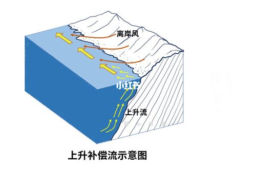 上升补偿流示意图_地理_高中地理_教育