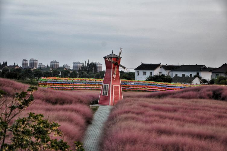 福山铜管山,平巷花海半日游