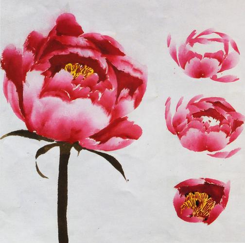 牡丹不同形态的国画教程