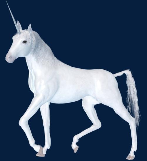 头上长角的白色的马