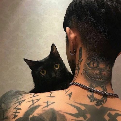 黑猫纹身男背影