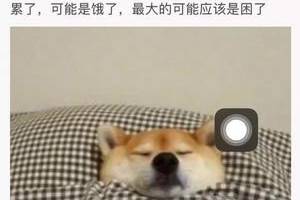 为保住性命,唯有睡觉表情包 热门 祖国请放心