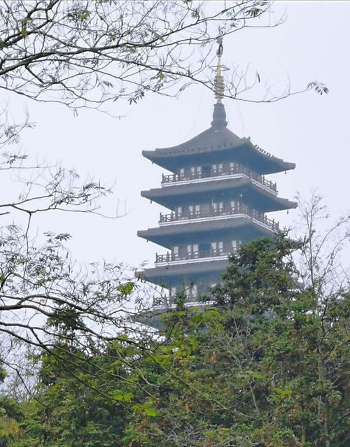 文峰塔是龙背山森林公园标志性建筑,文峰塔为汉唐风格,九层四方塔