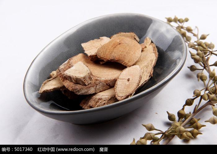 猫人参中药材