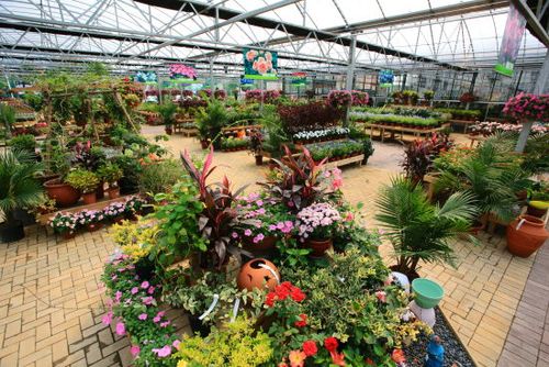 虹越园艺家加盟费用